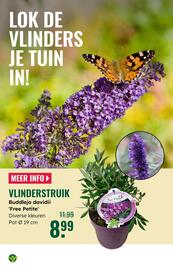 GroenRijk folder week 19 Pagina 16