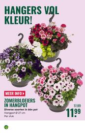 GroenRijk folder week 19 Pagina 4