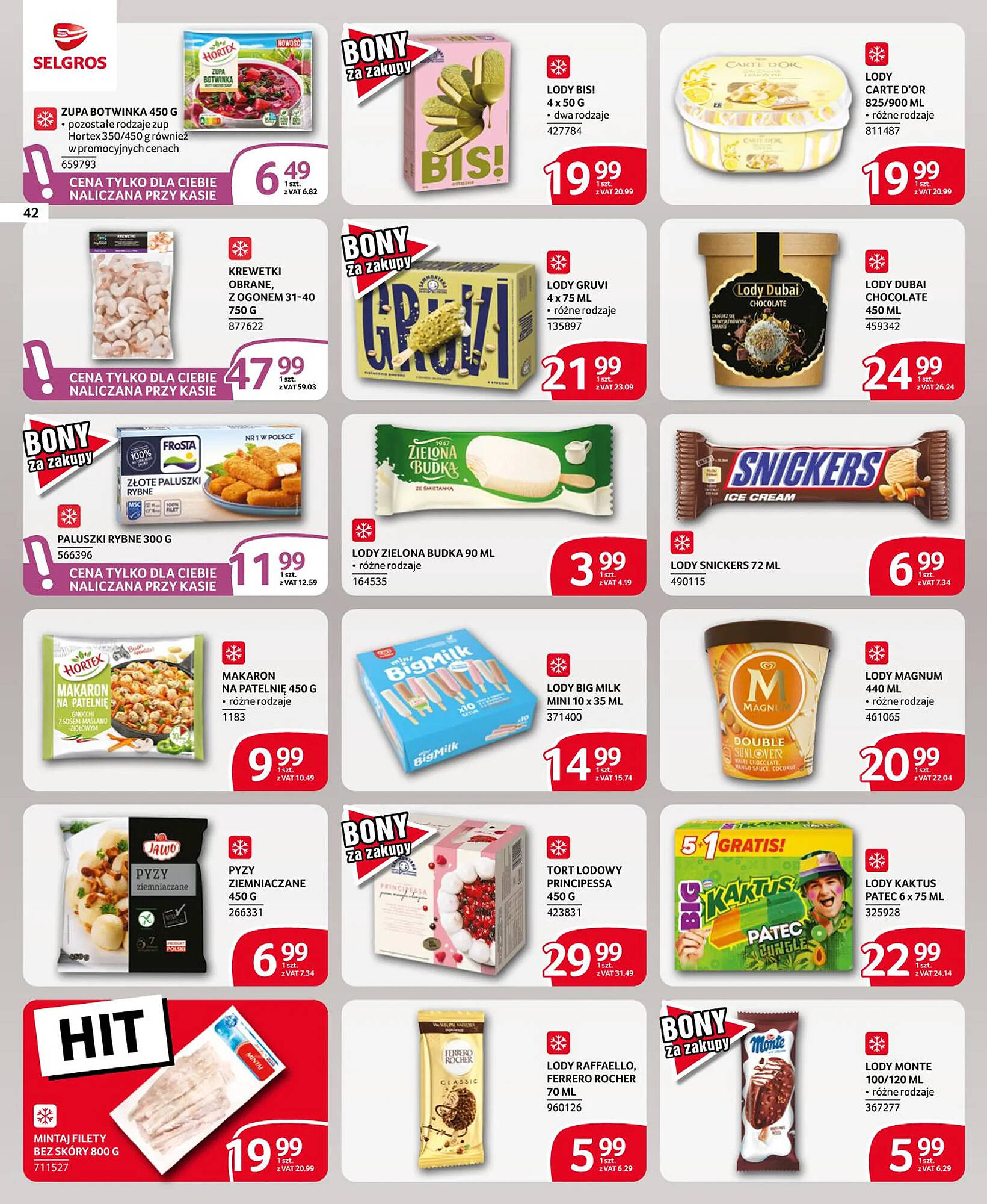 Selgros gazetka Strona 42