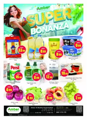 Amber catalogue (valid until 11-05)