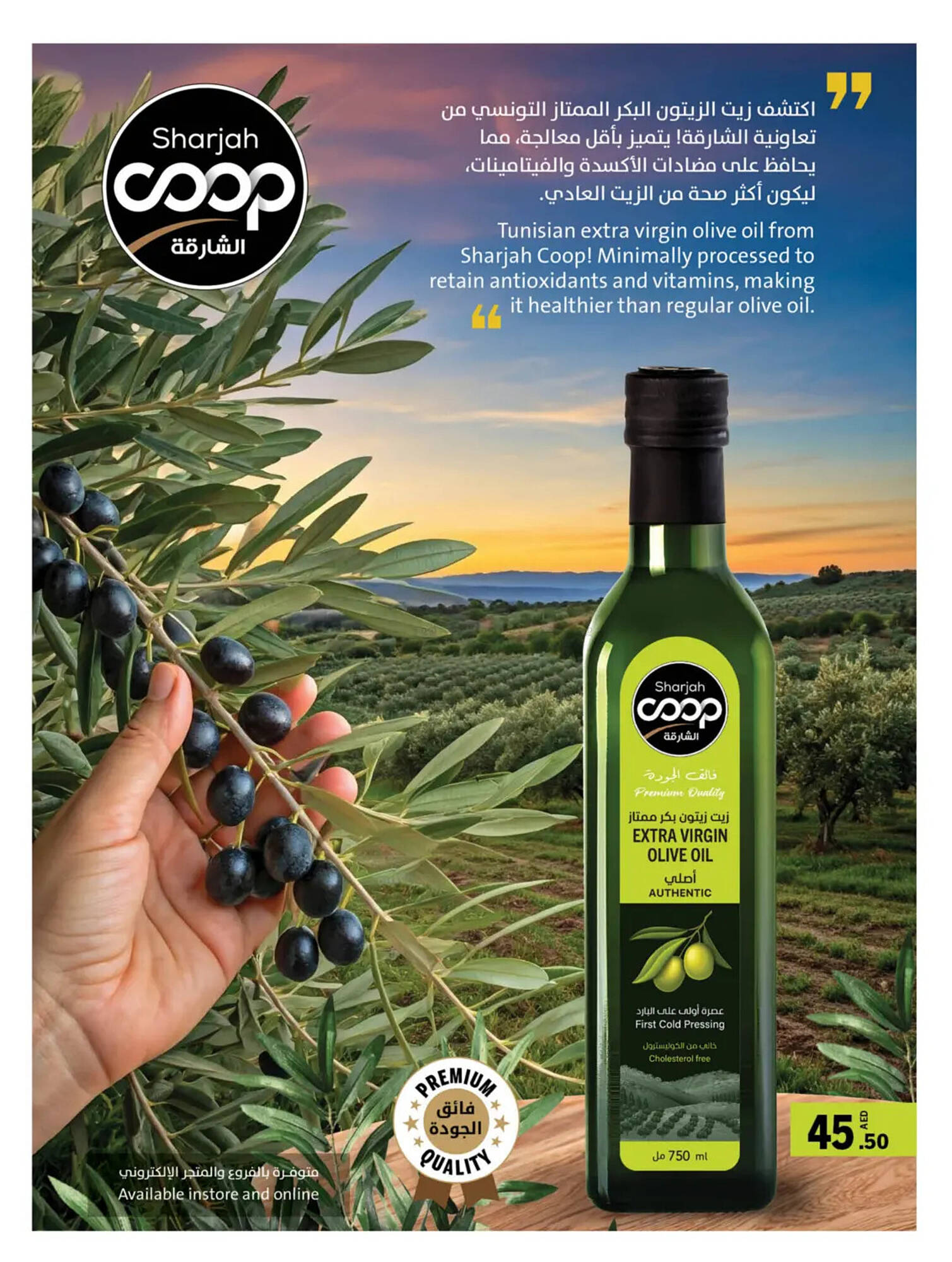 Sharjah Co-op catalogue Page 30