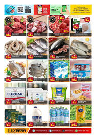Bigmart catalogue Page 11