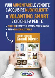 Volantino Gruppo di Palo Pagina 40
