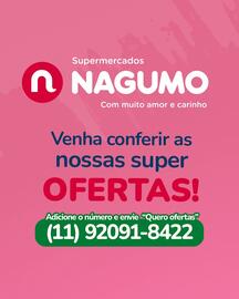 Catálogo Nagumo semana 19 Página 4