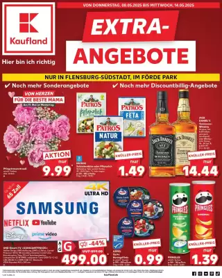 flyer-cover