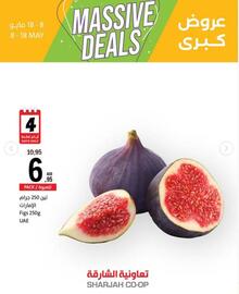 Sharjah Co-op catalogue Page 2