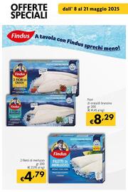 Volantino Maxi Supermercati Pagina 17