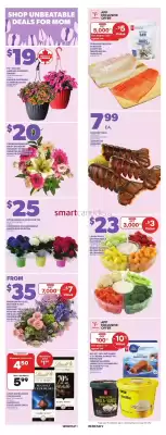 Loblaws flyer (valid until 15-05)