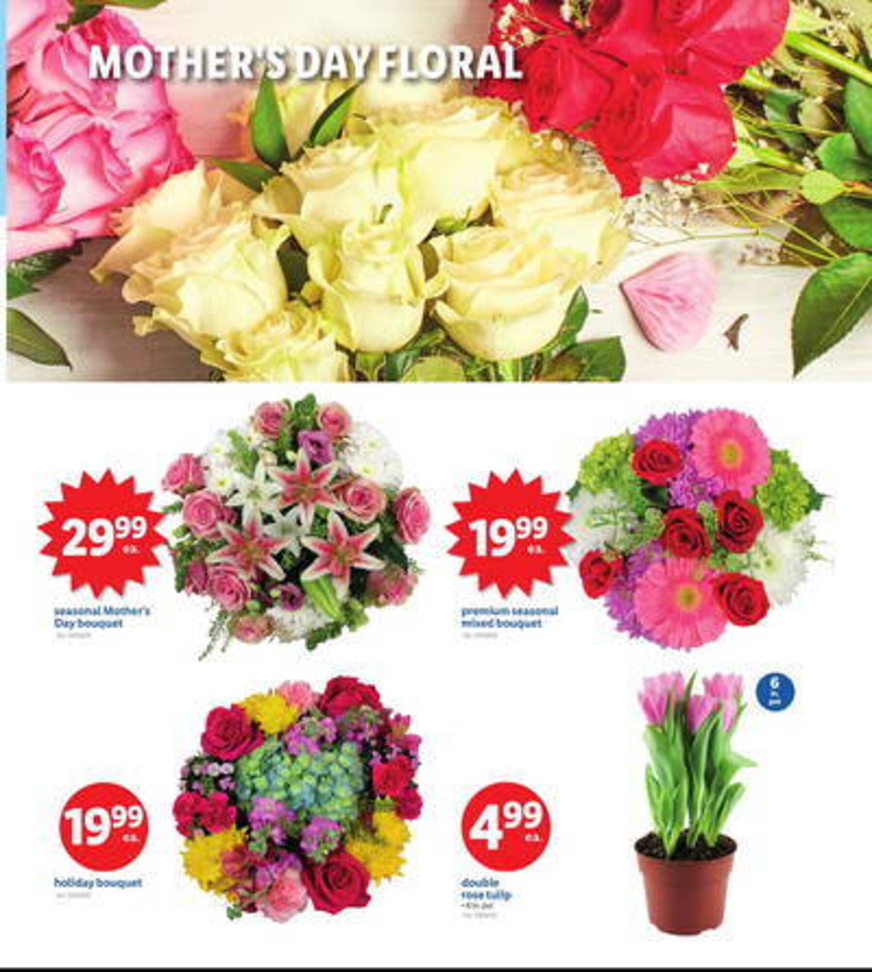 Lidl Weekly Ad week 19 Page 6