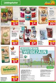 Herkules Baumarkt Prospekt woche 19 Seite 15
