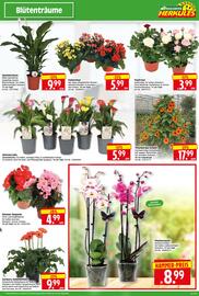 Herkules Baumarkt Prospekt woche 19 Seite 5