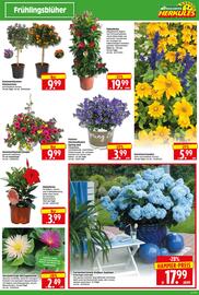 Wreesmann Prospekt woche 19 Seite 3