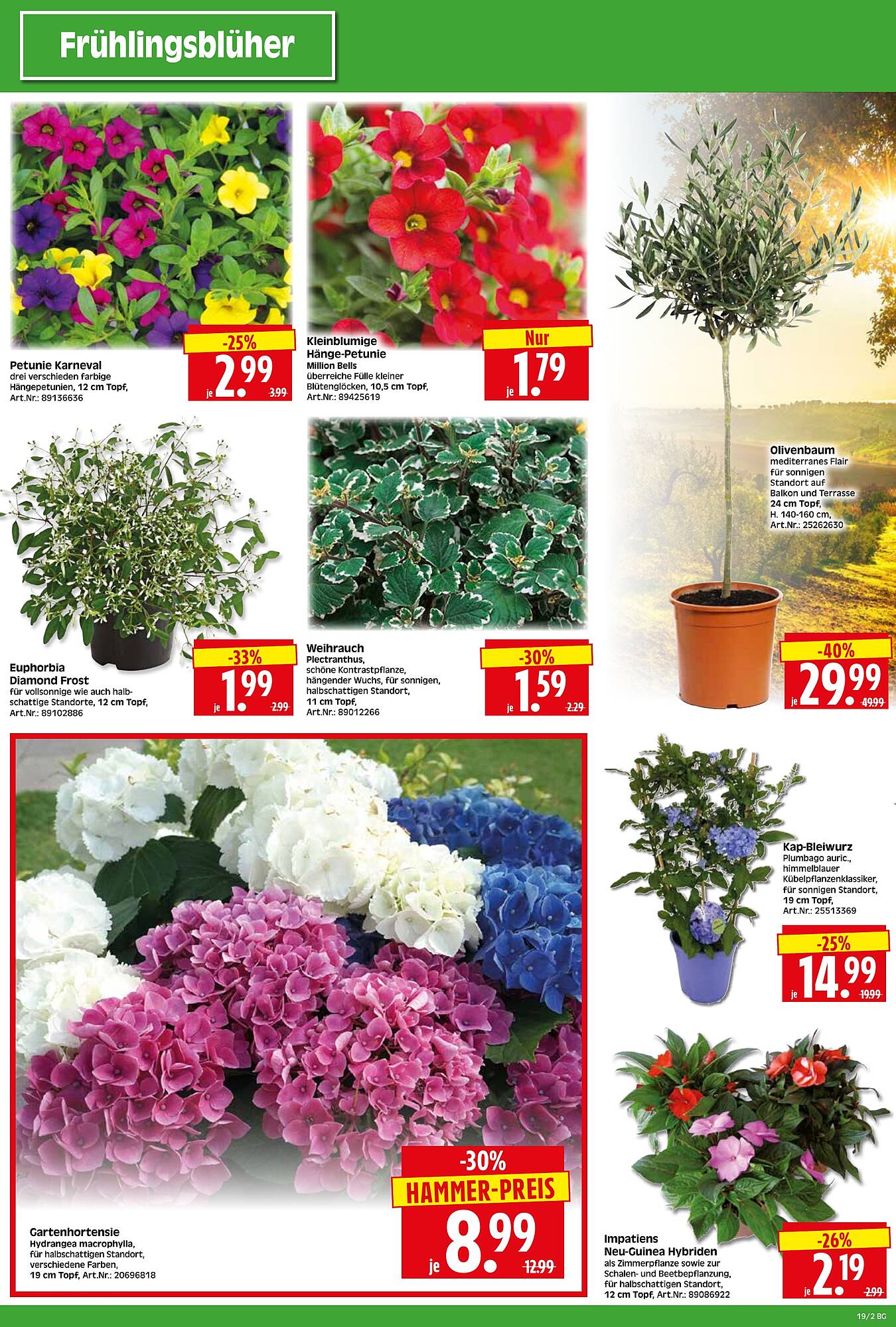 Wreesmann Prospekt woche 19 Seite 2