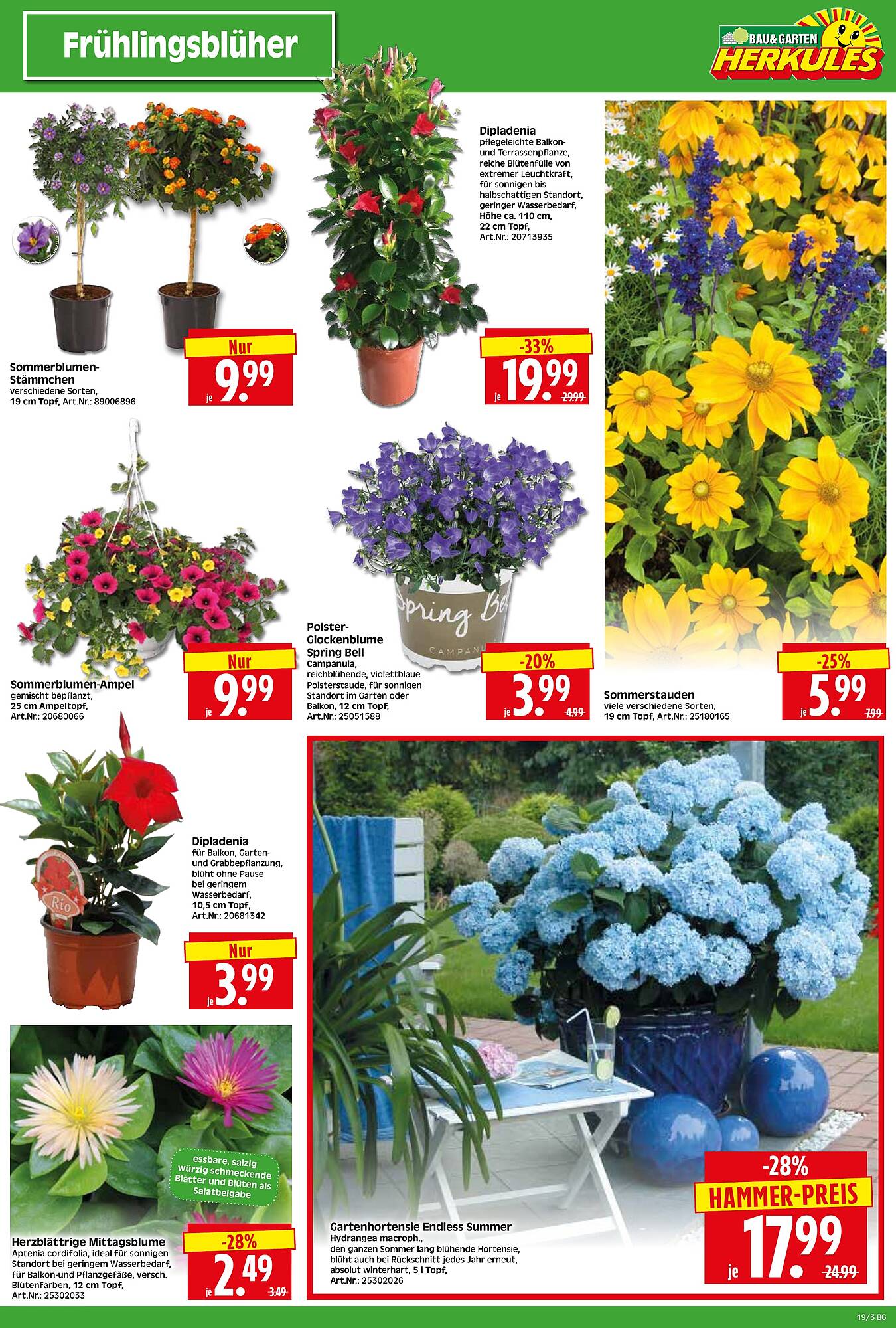 Wreesmann Prospekt woche 19 Seite 3