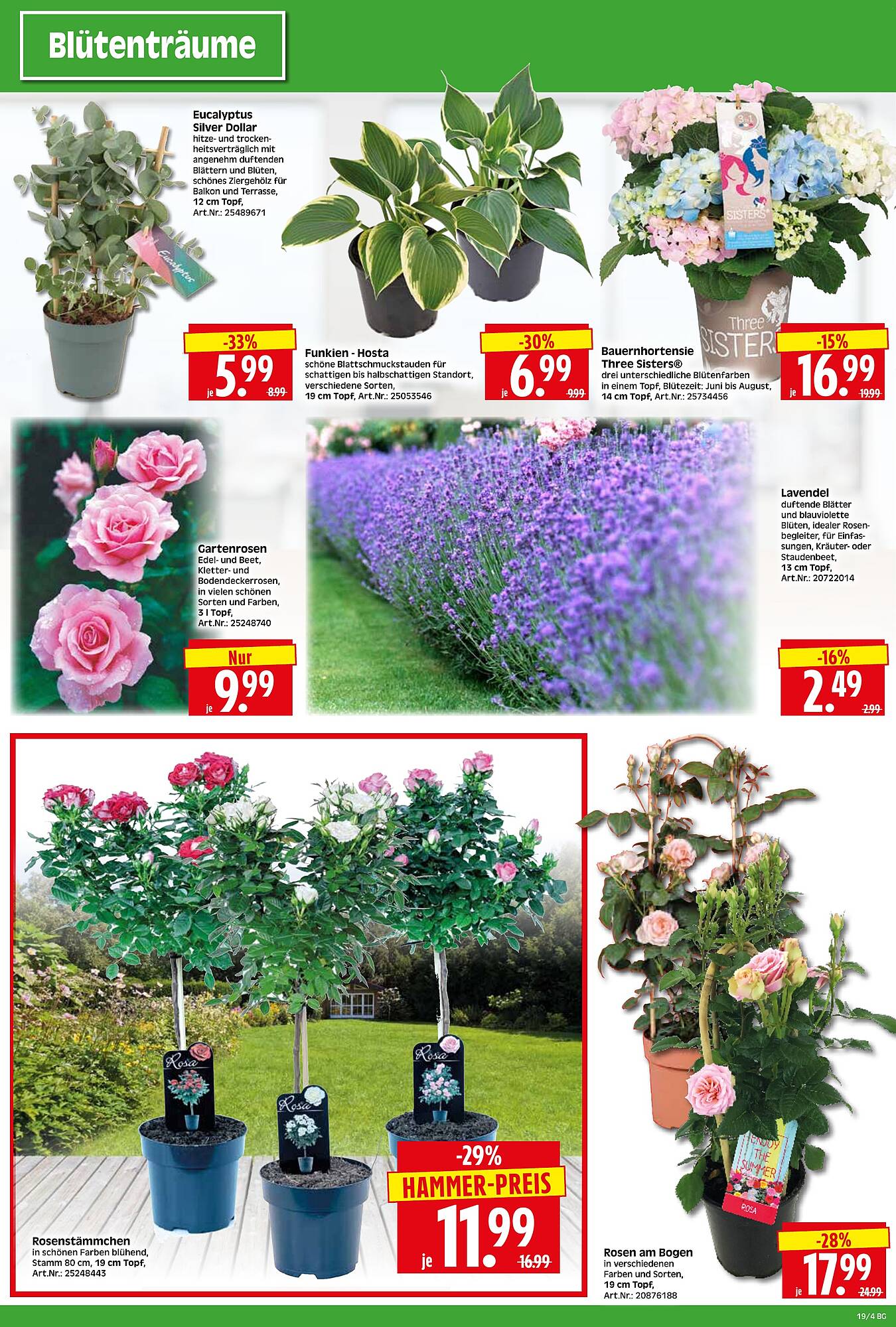 Wreesmann Prospekt woche 19 Seite 4