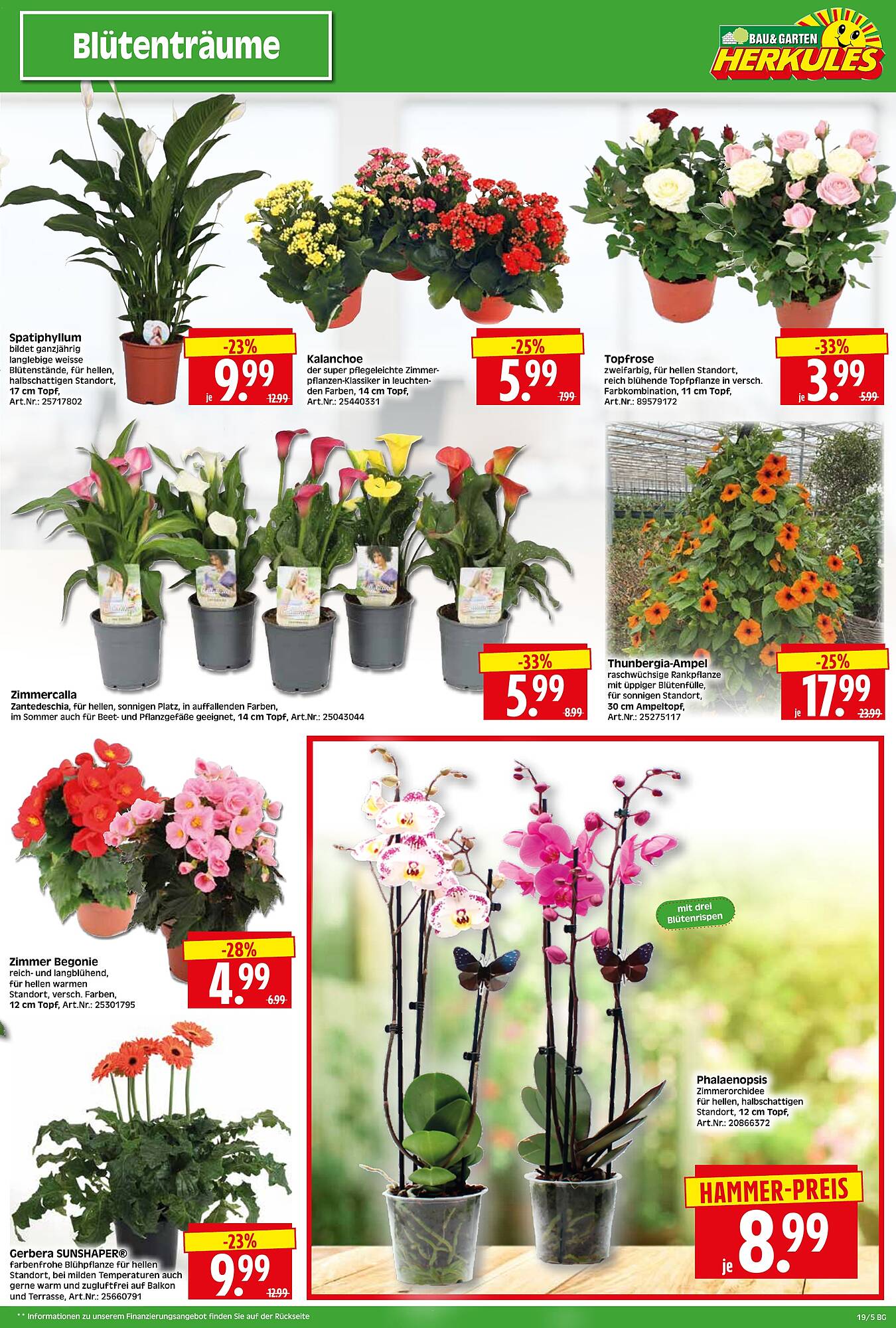 Wreesmann Prospekt woche 19 Seite 5