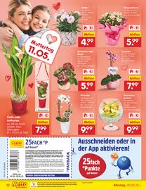 Netto City Prospekt Seite 14