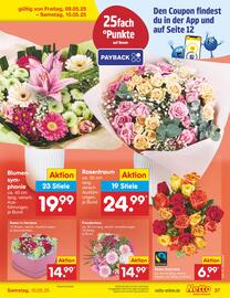 Netto City Prospekt Seite 63