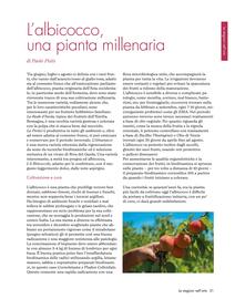 Folleto NaturaSí Página 31
