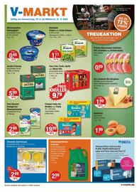 V Markt Prospekt woche 20 Seite 1