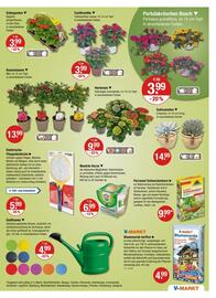 V Markt Prospekt woche 20 Seite 17