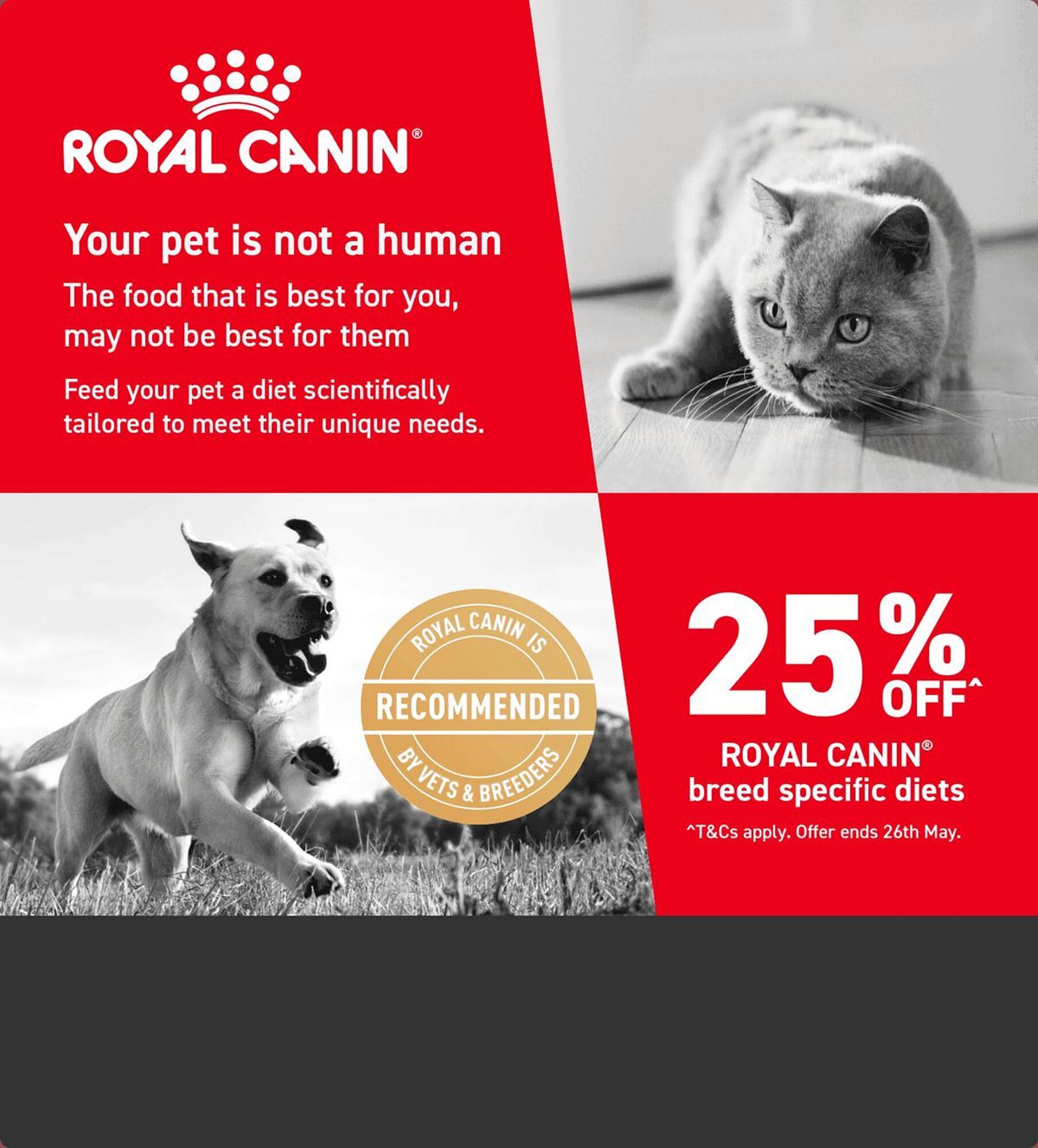 Pet stock catalogue Page 1
