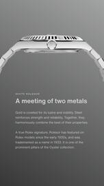 Rolex flyer Page 7