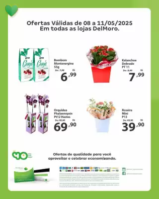 Catálogo Del Moro Supermercados