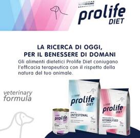 Volantino Homery Pagina 4
