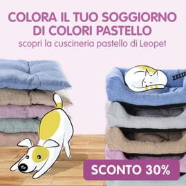 Volantino Homery Pagina 6