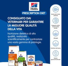 Volantino Homery Pagina 8