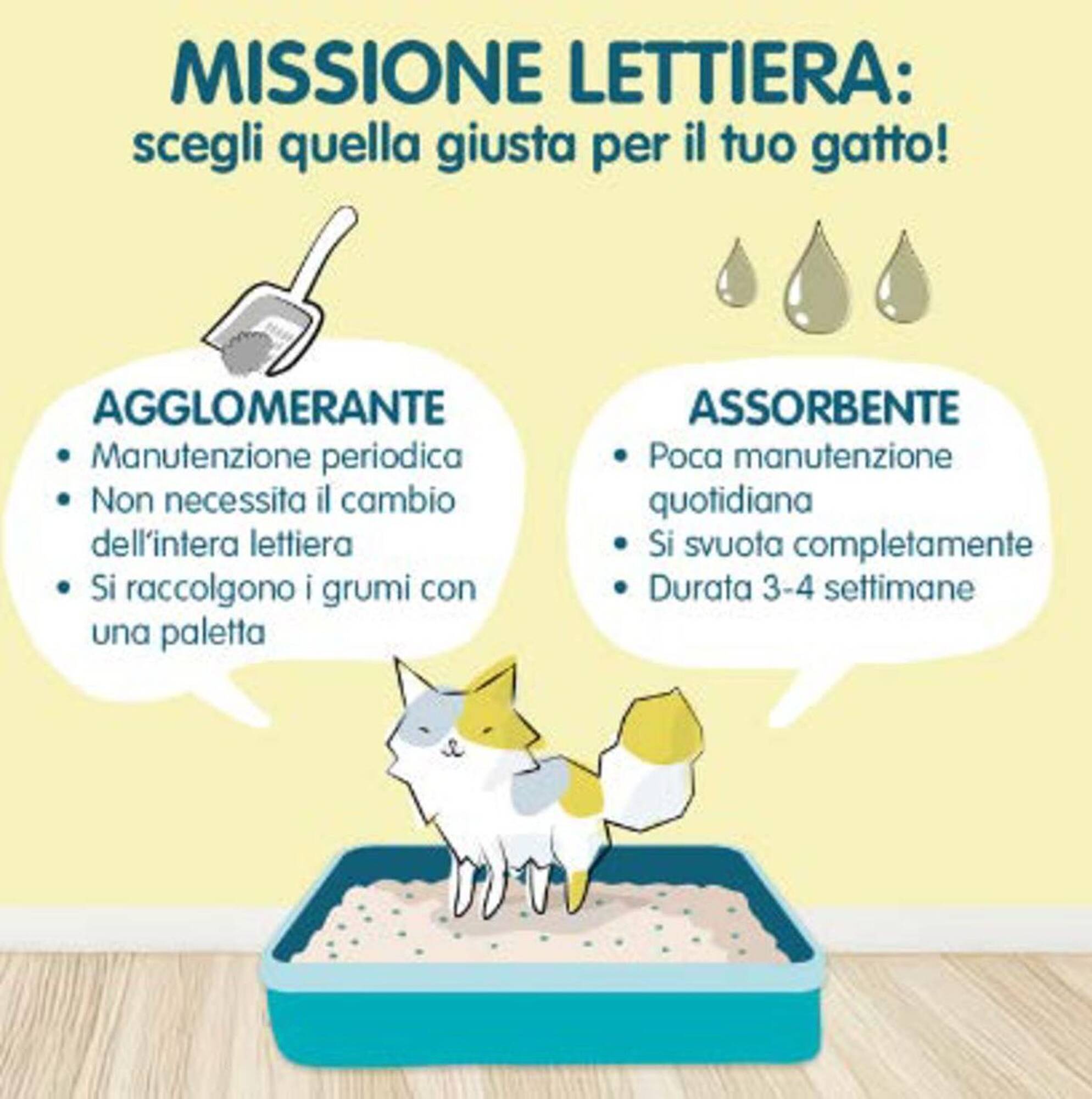 Volantino Homery Pagina 10