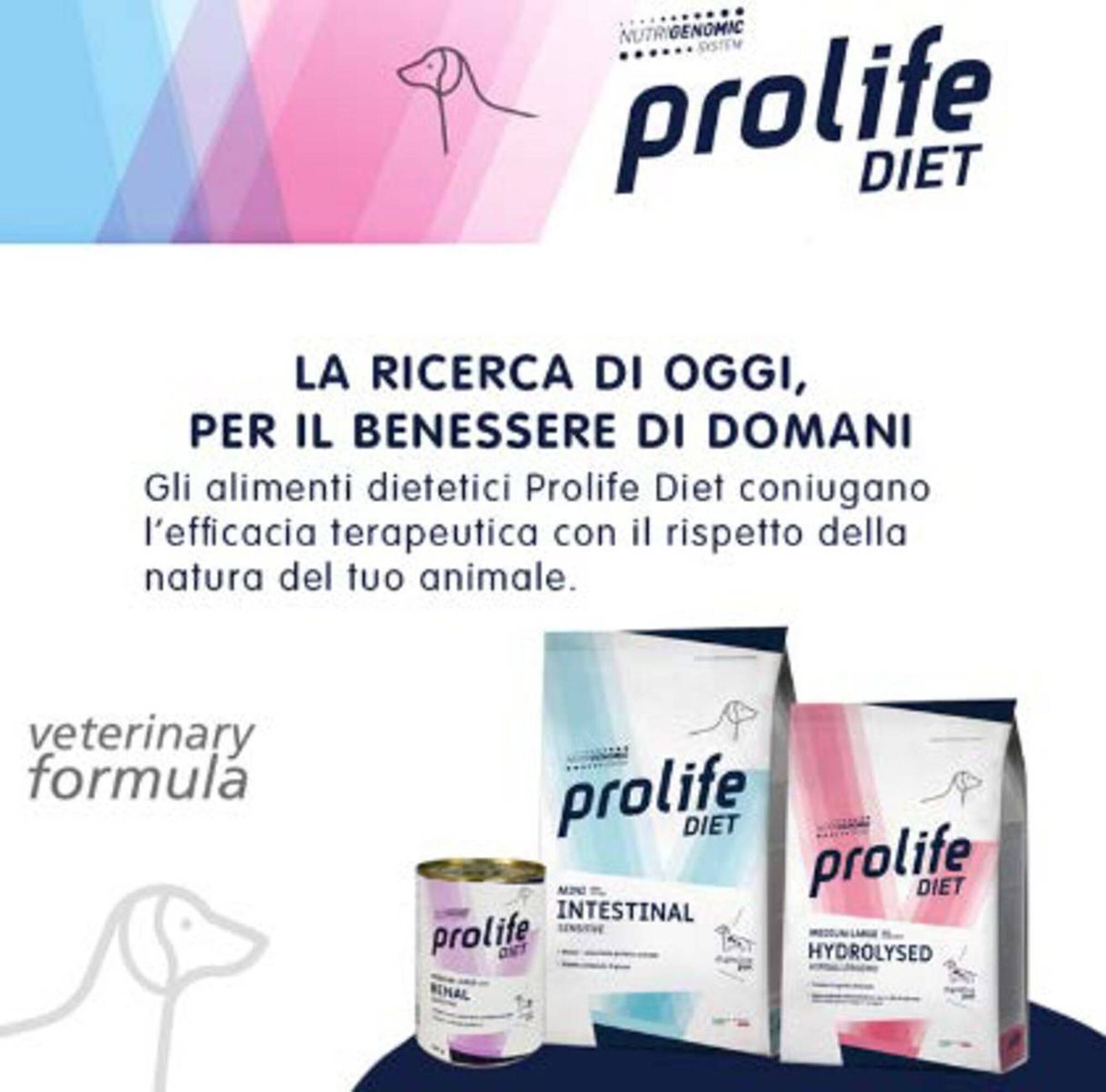 Volantino Homery Pagina 4