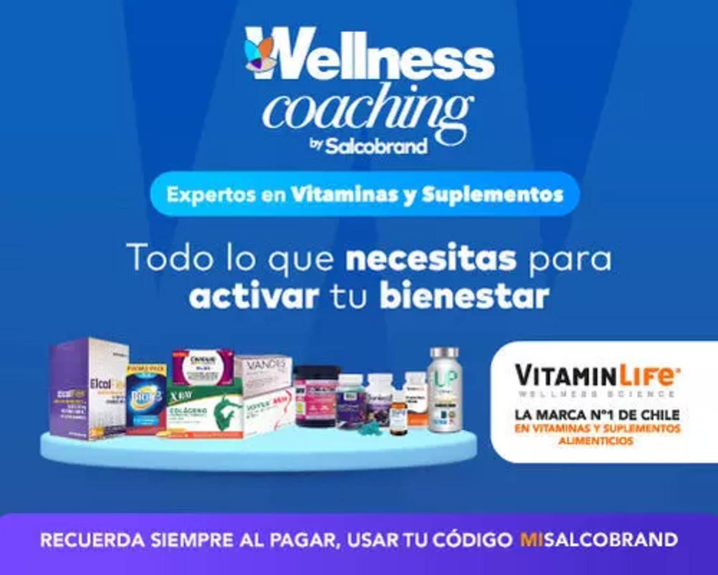 Catálogo Salcobrand Página 17