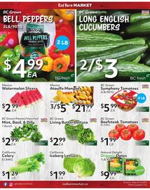 Red Barn Market flyer Page 7