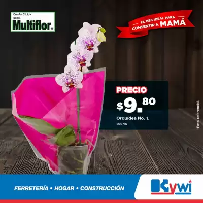 Catálogo Kywi (válido hasta 31-05)