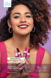Catálogo AVON Página 44