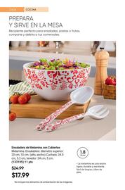 Catálogo AVON Página 43