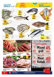 Al Hoot catalogue Page 3