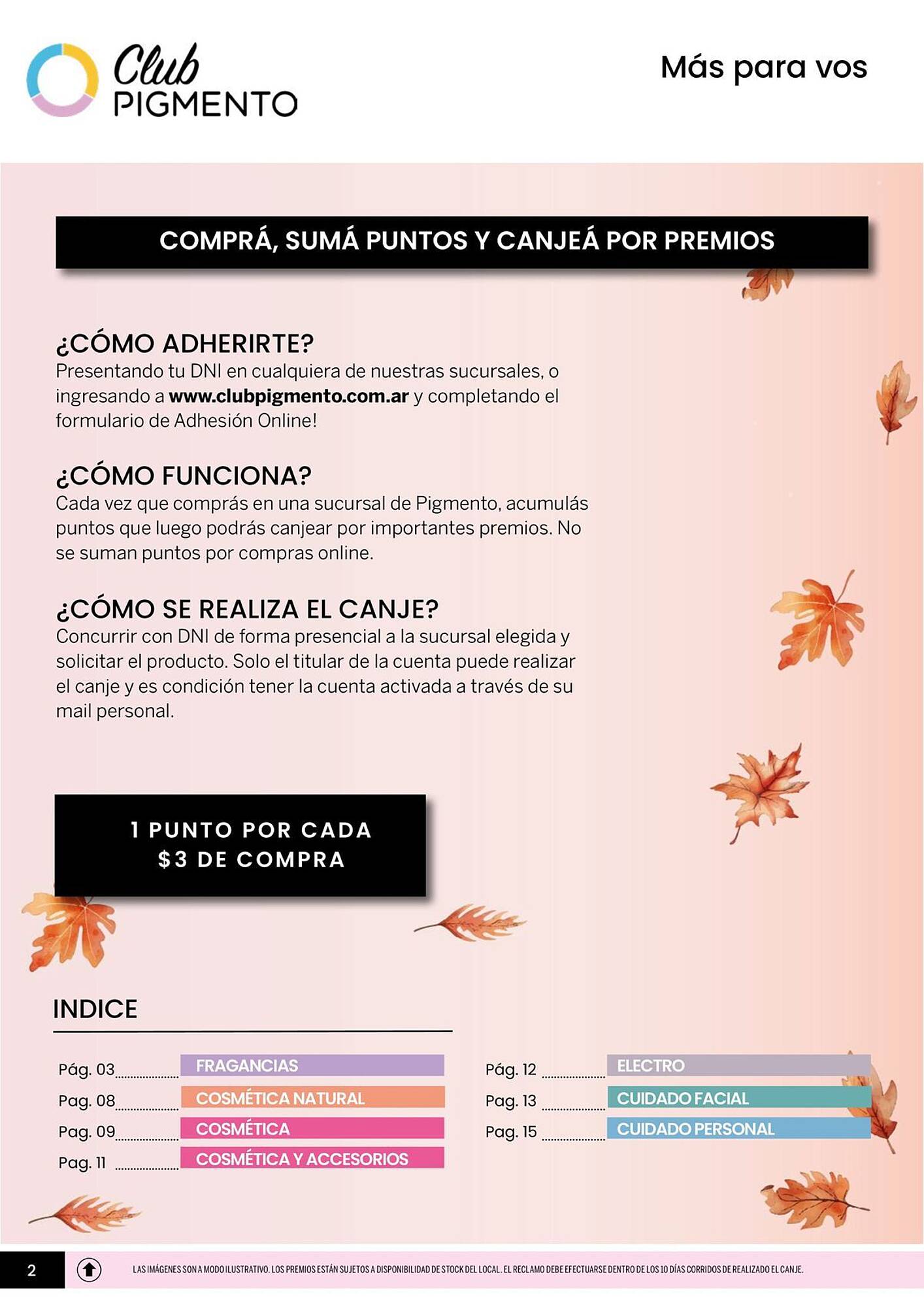 Catálogo Pigmento Página 2