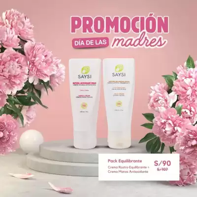 Catálogo Saysi (válido hasta 31-05)