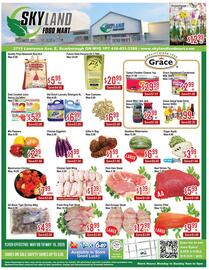 Skyland Foodmart flyer week 19 Page 1