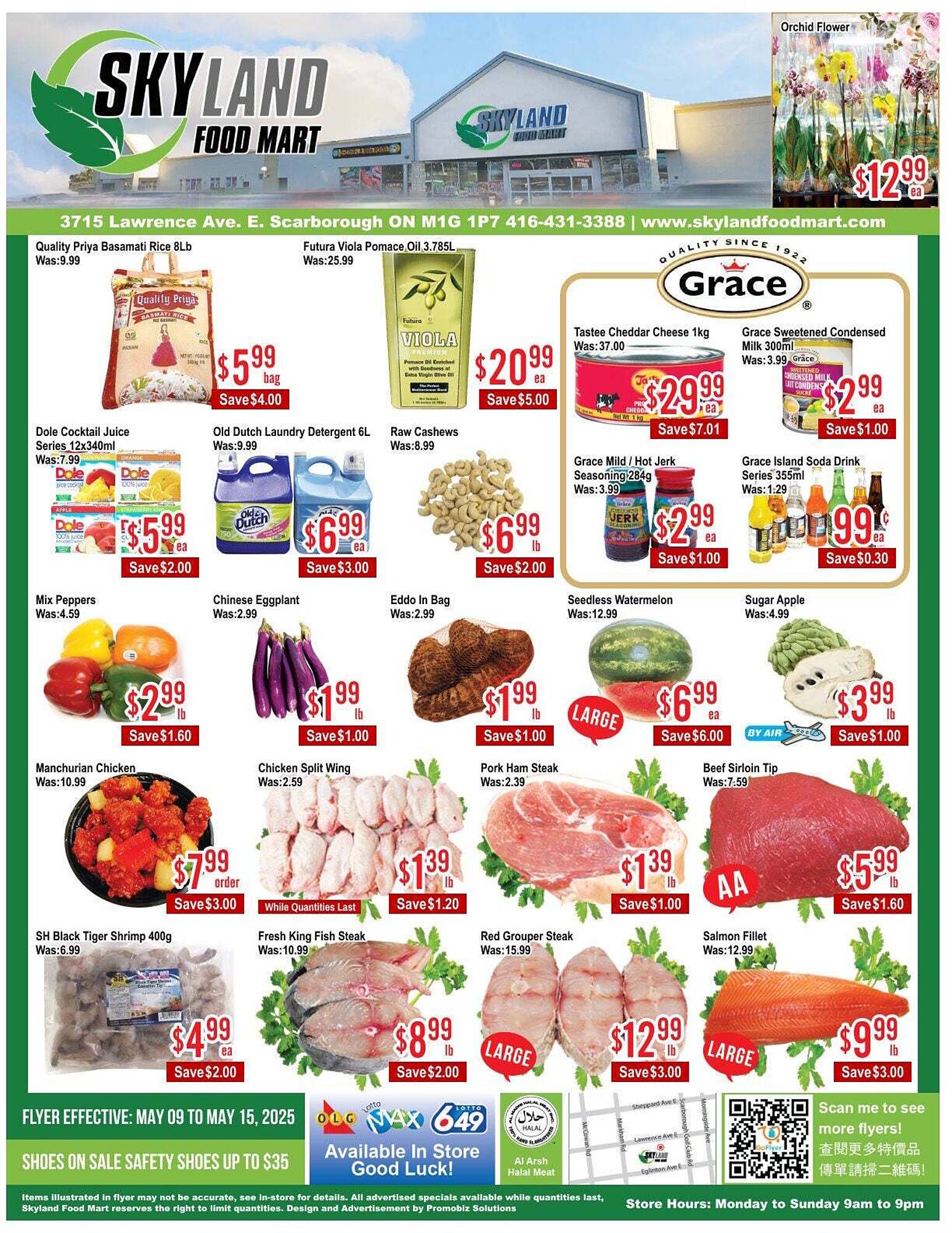 Skyland Foodmart flyer week 19 Page 1
