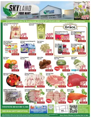 Skyland Foodmart flyer (valid until 16-05)