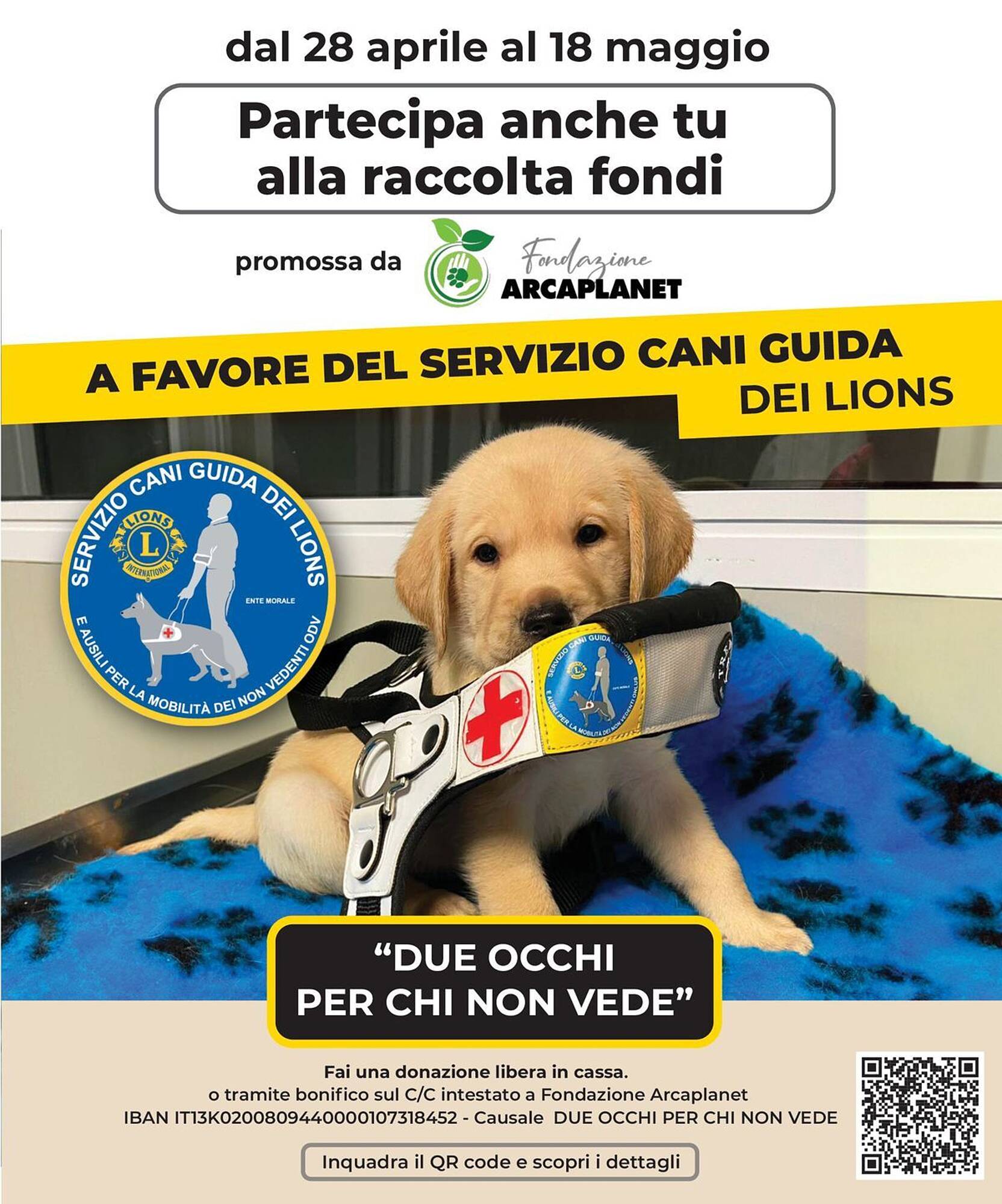 Volantino Arcaplanet Pagina 26