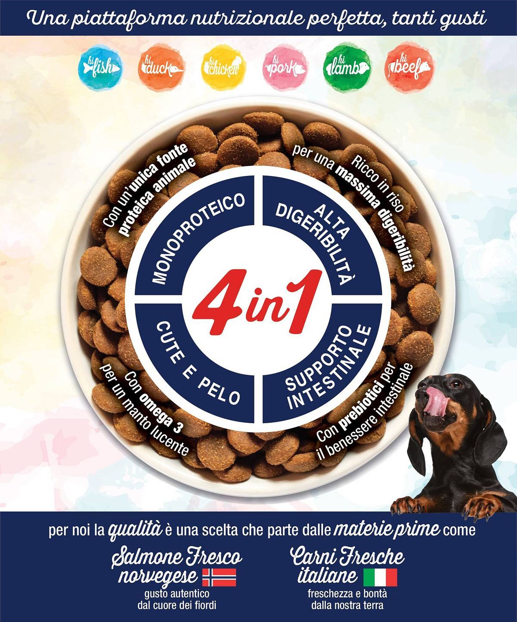 Volantino Arcaplanet Pagina 8