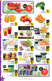 Cora folder Pagina 4