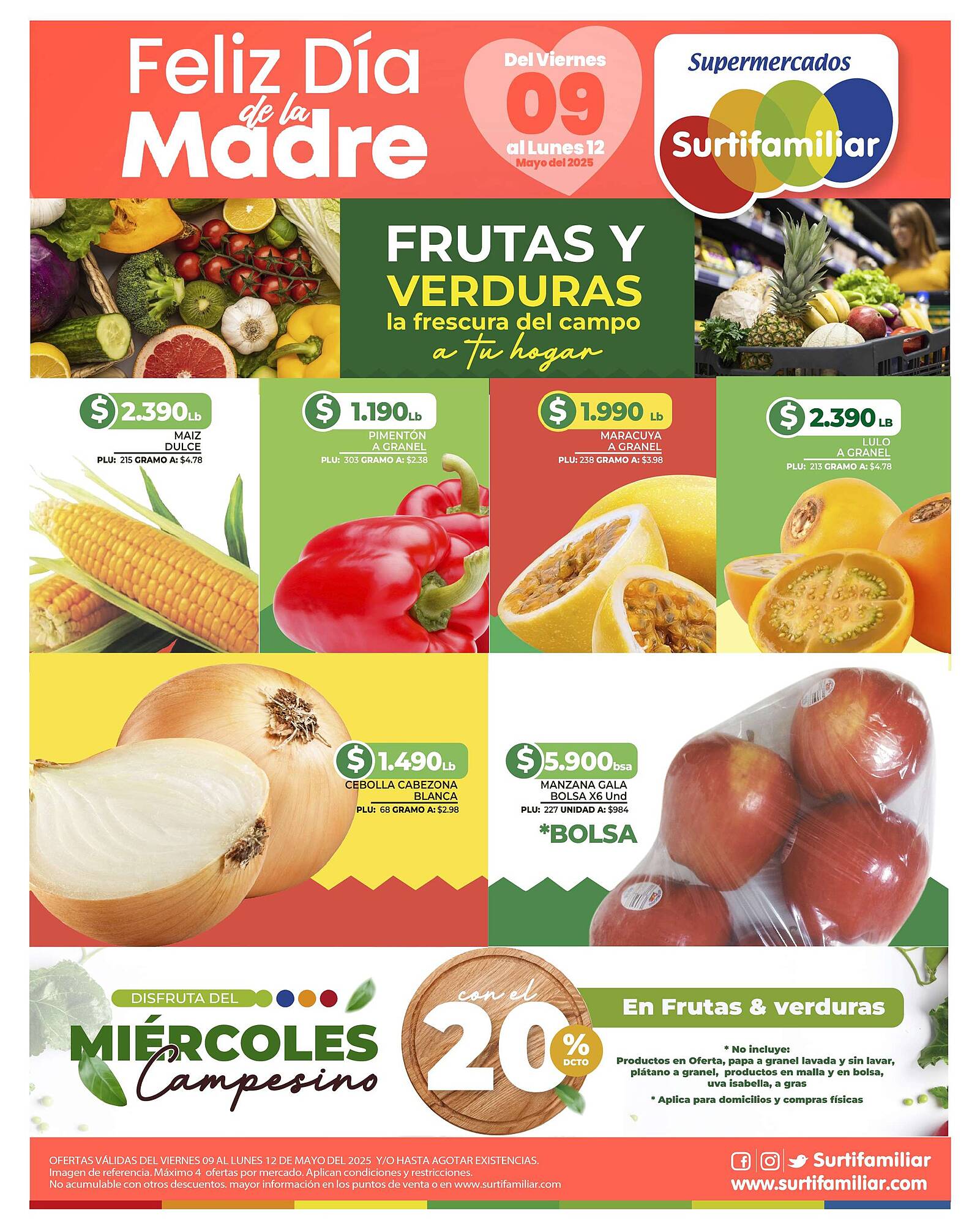 Catálogo Surtifamiliar Página 3