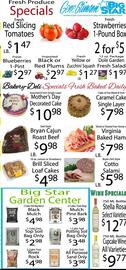 Gene Stimson Big Star Weekly Ad week 19 Page 4