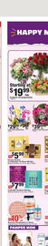 Giant Food Weekly Ad week 19 Page 2